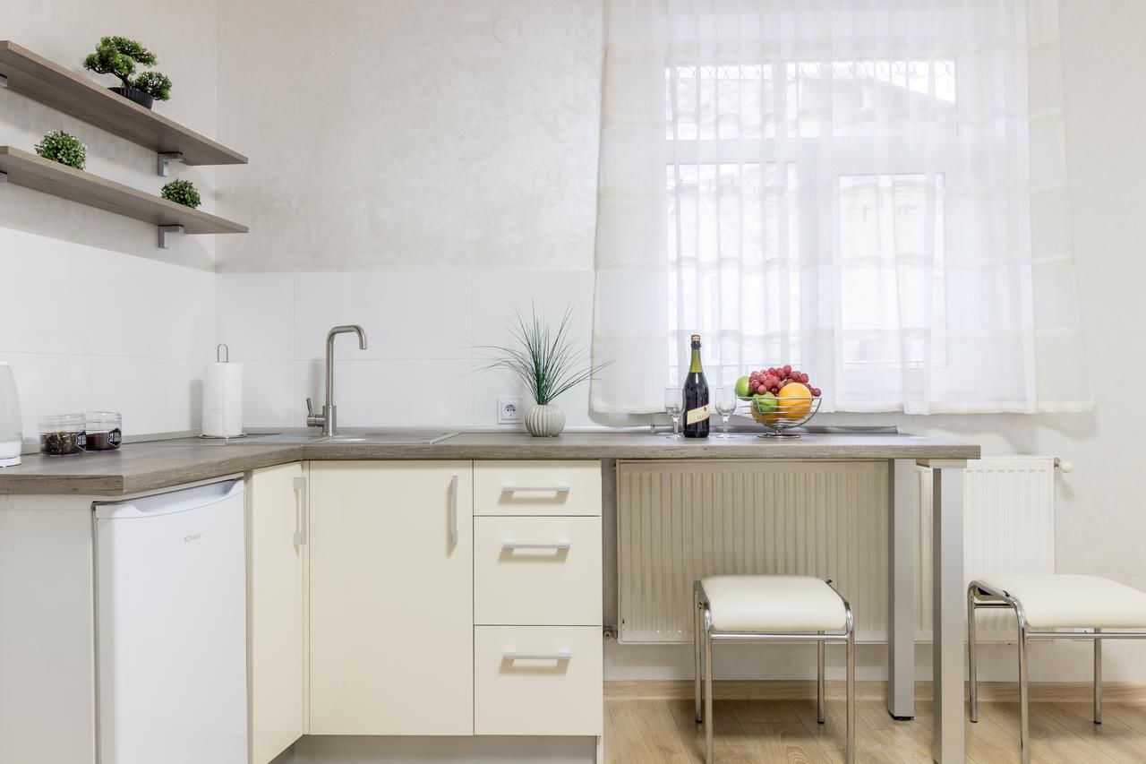 Апартаменты City Center VIP studio apartment Львов-16